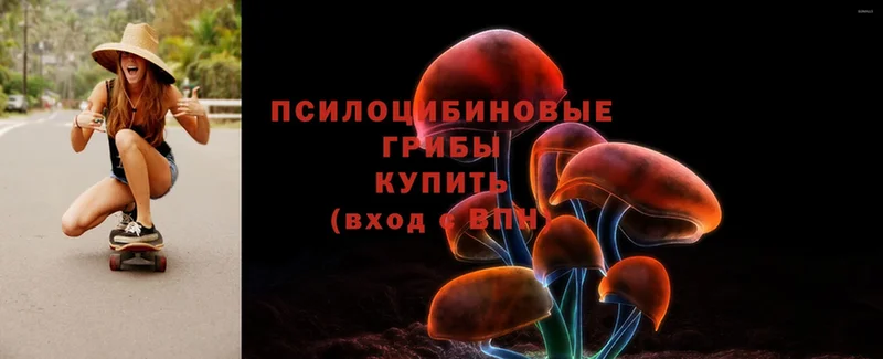 Псилоцибиновые грибы Magic Shrooms  купить   Валдай 